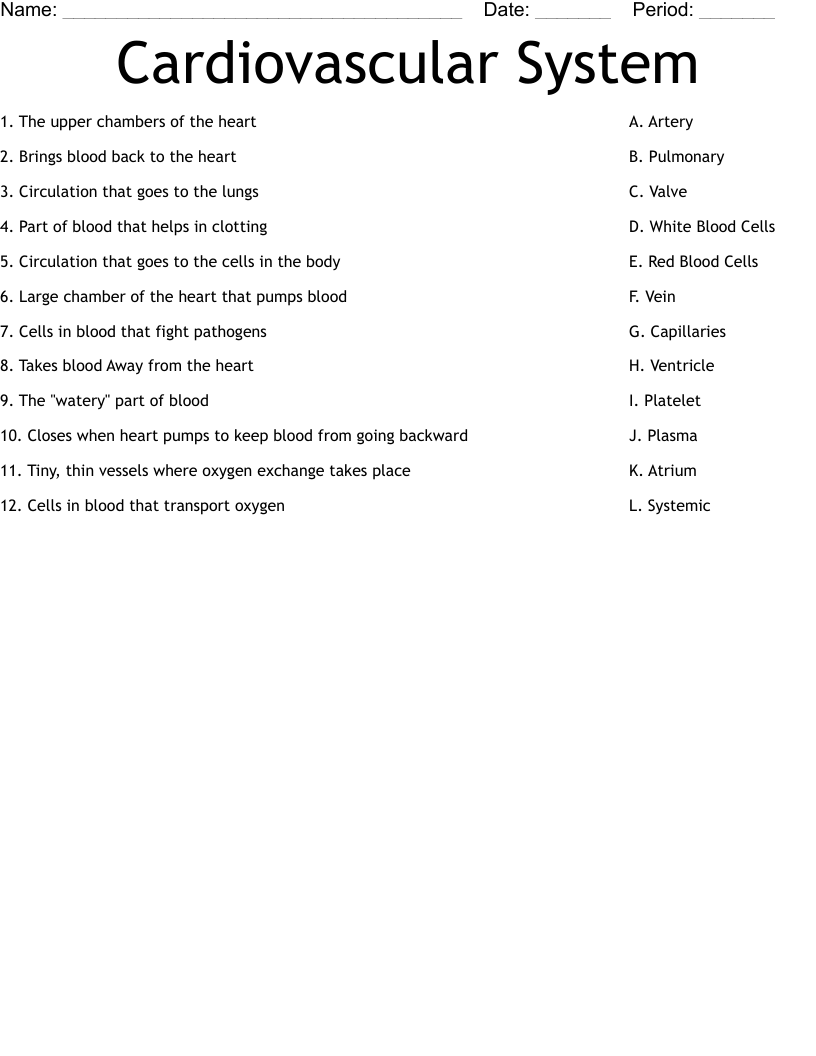 Cardiovascular System Worksheet WordMint