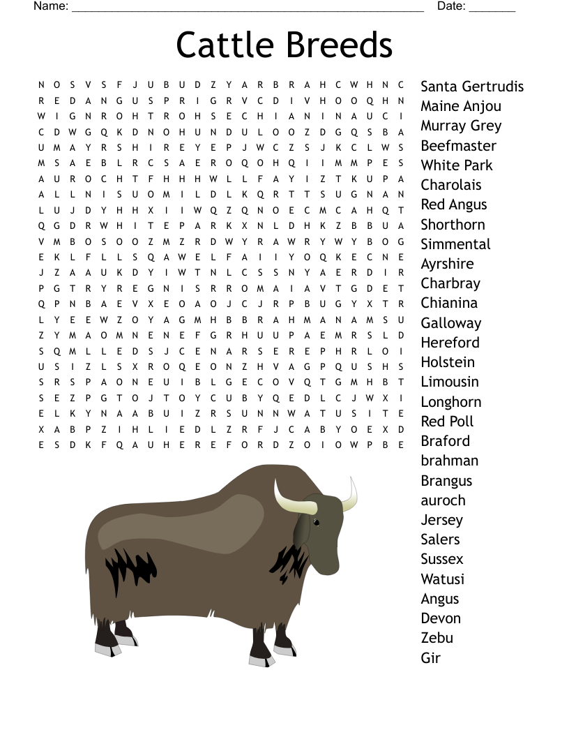 Cattle Breeds Word Search WordMint Cattle Breeds Word Search WordMint