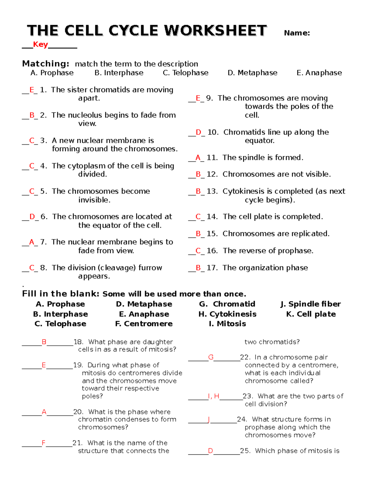 Cell Cycle Worksheet With Answers Understanding Mitosis Process Studocu Cell Cycle Worksheet With Answers Understanding Mitosis Process Studocu