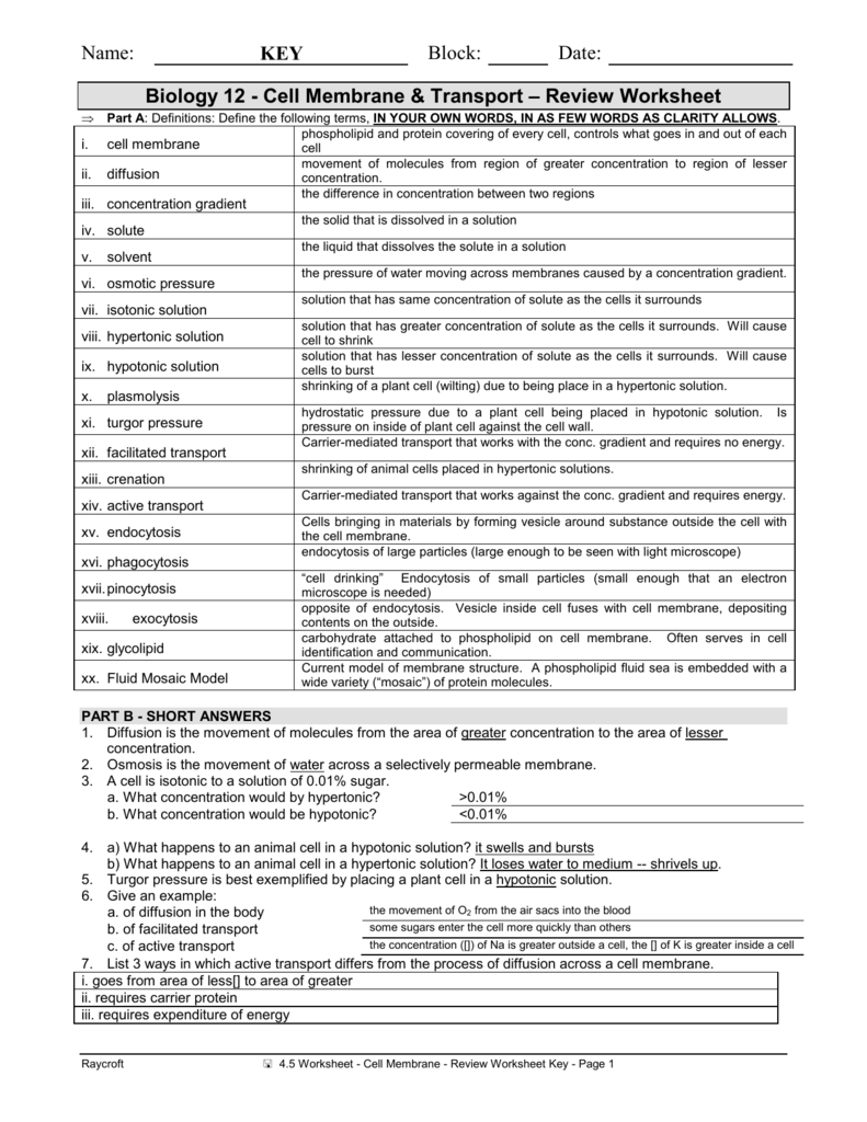 Cell Membrane Transport Worksheet Biology 12 Review Cell Membrane Transport Worksheet Biology 12 Review