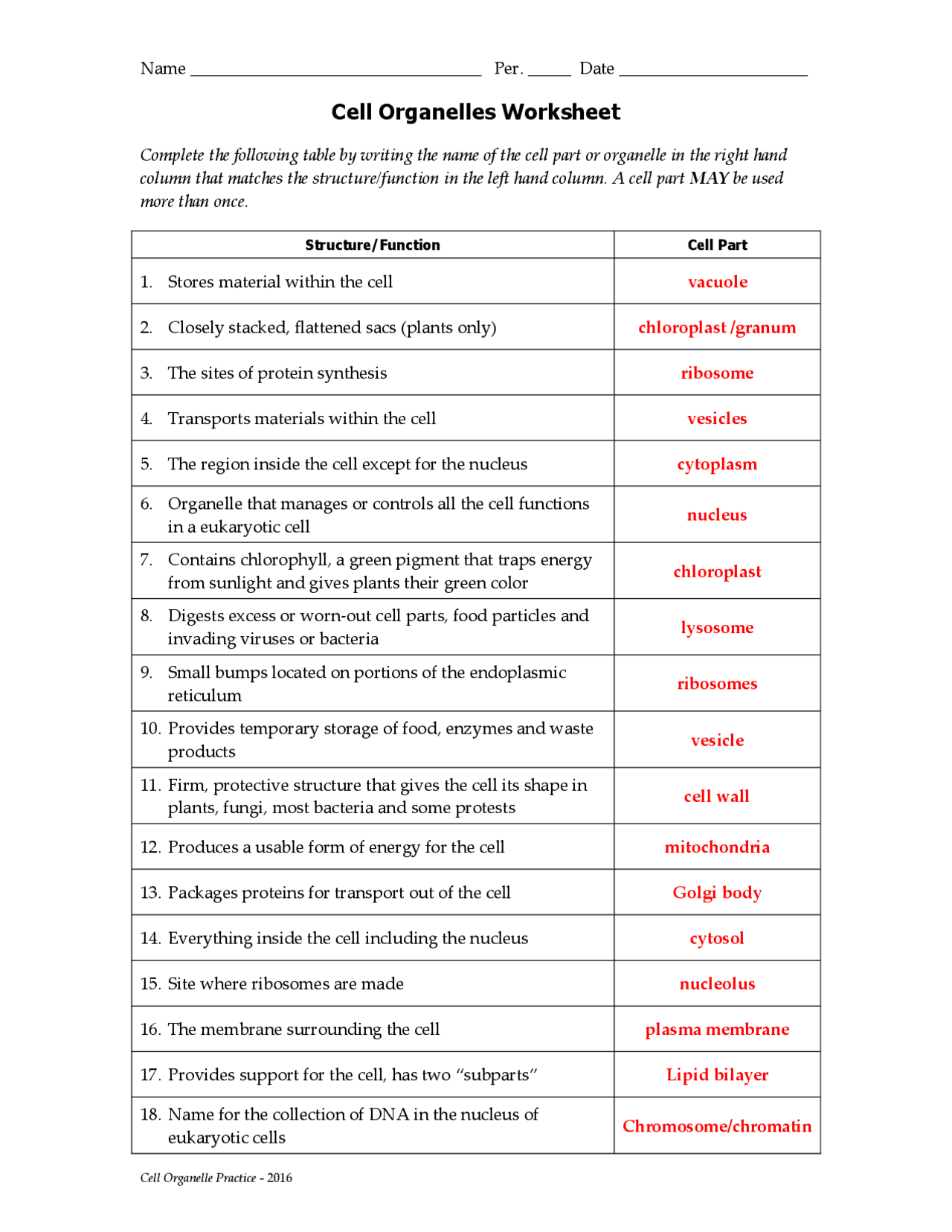 Cell Organelles Analogies Worksheet Answers Exercises Biology Worksheets Library