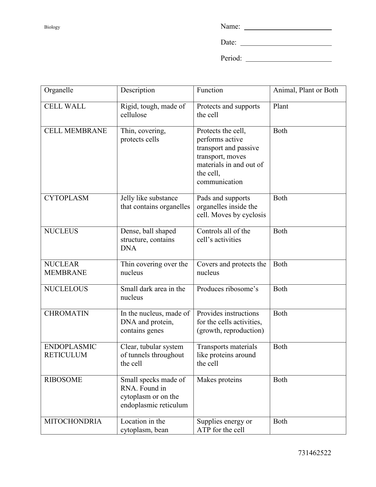 plant cell worksheet answer key