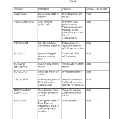 Cell Organelles Worksheet Key Biology Studocu