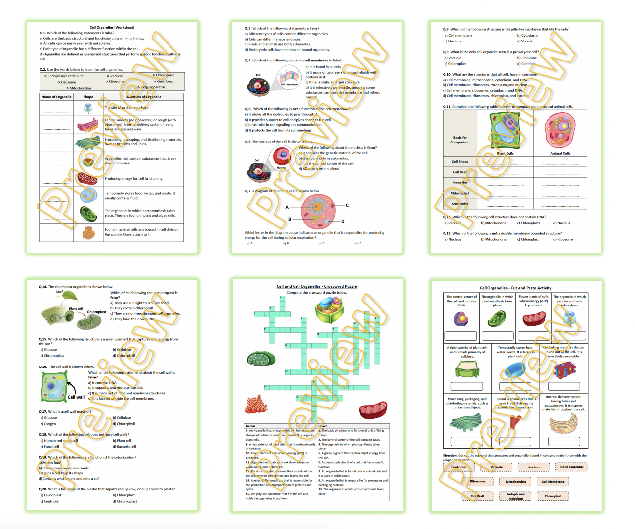 cell organelles worksheet with answers cell organelles worksheet with answers