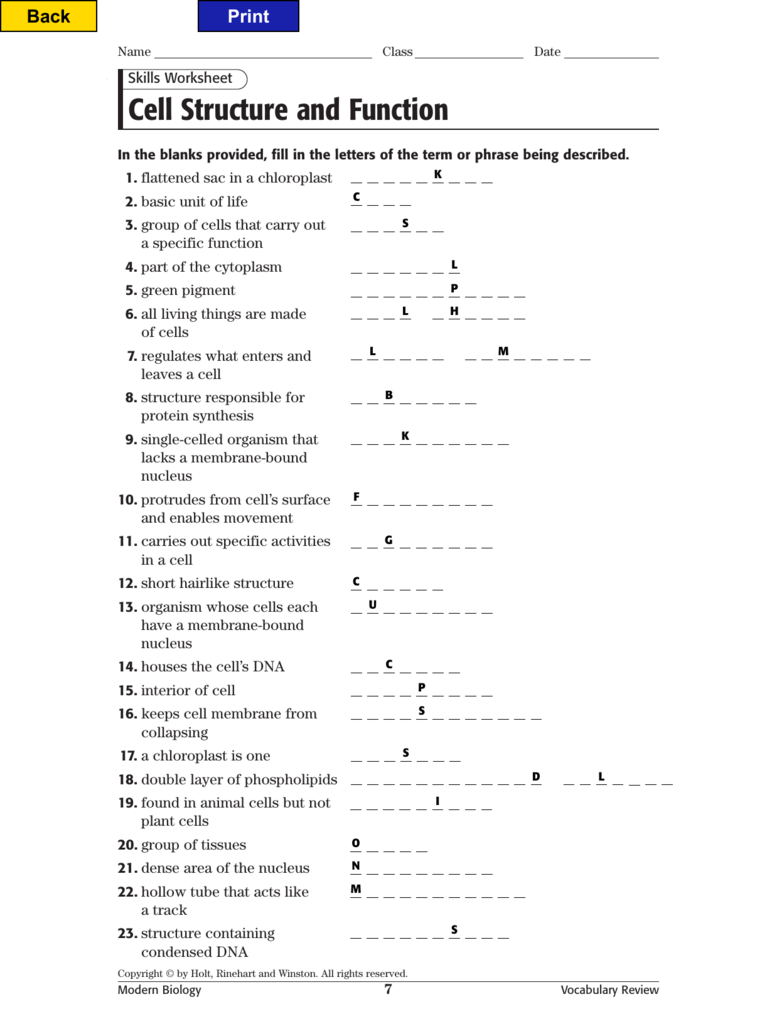 Cell Structure And Function Worksheet Biology