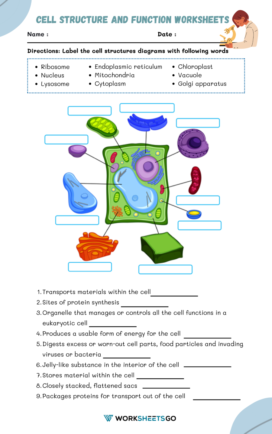 Cell Structure And Function Worksheets WorksheetsGO