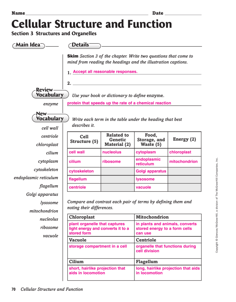 Cell Structure Function Worksheet Organelles Cytoplasm Cell Structure Function Worksheet Organelles Cytoplasm