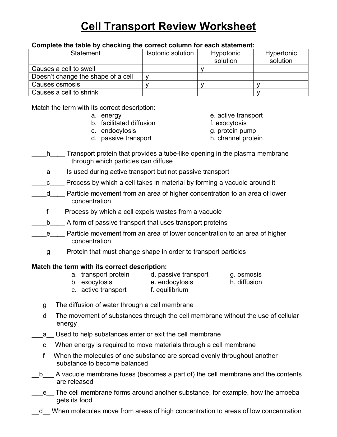 Cell Transport Review Worksheet Osmosis Solutions Cell Transport Review Worksheet Osmosis Solutions