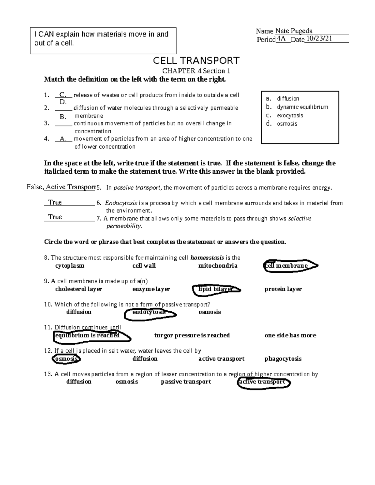 CELL Transport Worksheet For Chapter 4 Section 1 Activities Studocu CELL Transport Worksheet For Chapter 4 Section 1 Activities Studocu