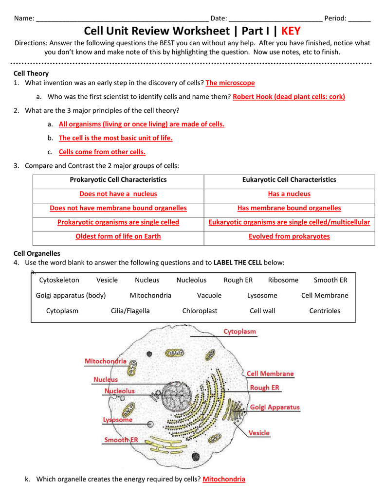 Cell Unit Review Worksheet Cell Theory Organelles
