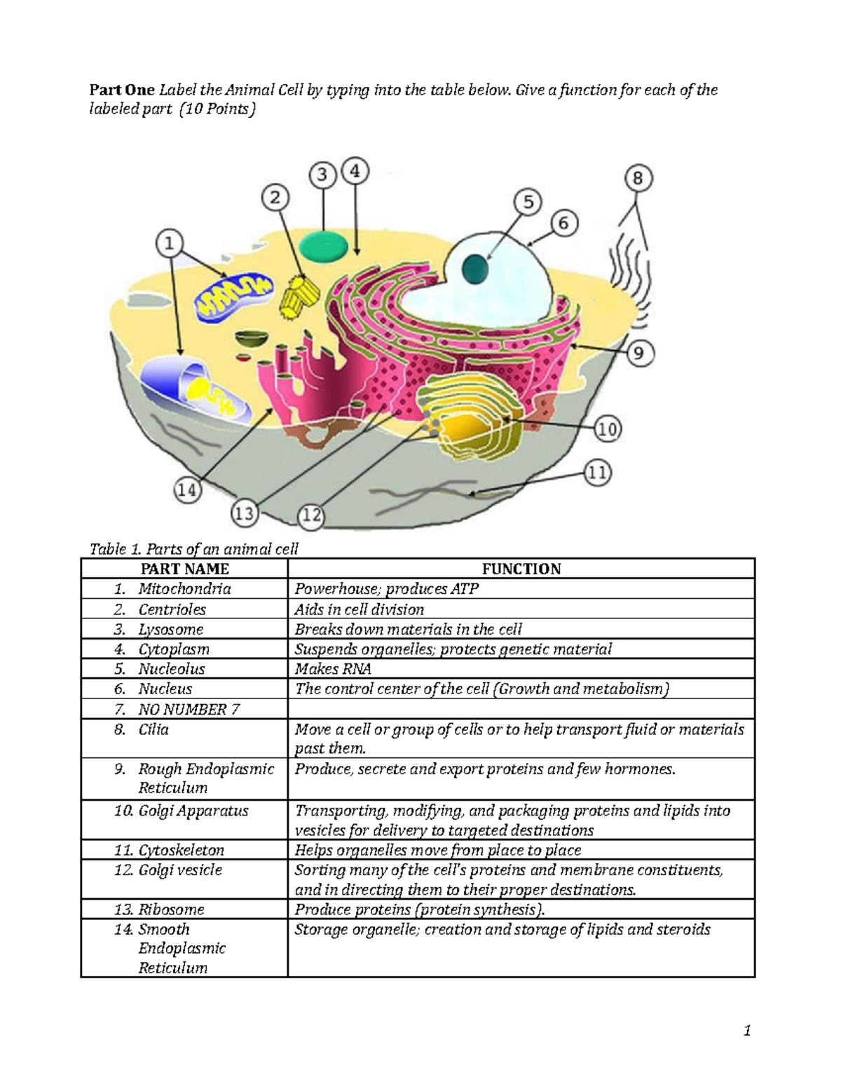 cell structure and function worksheet pdf
