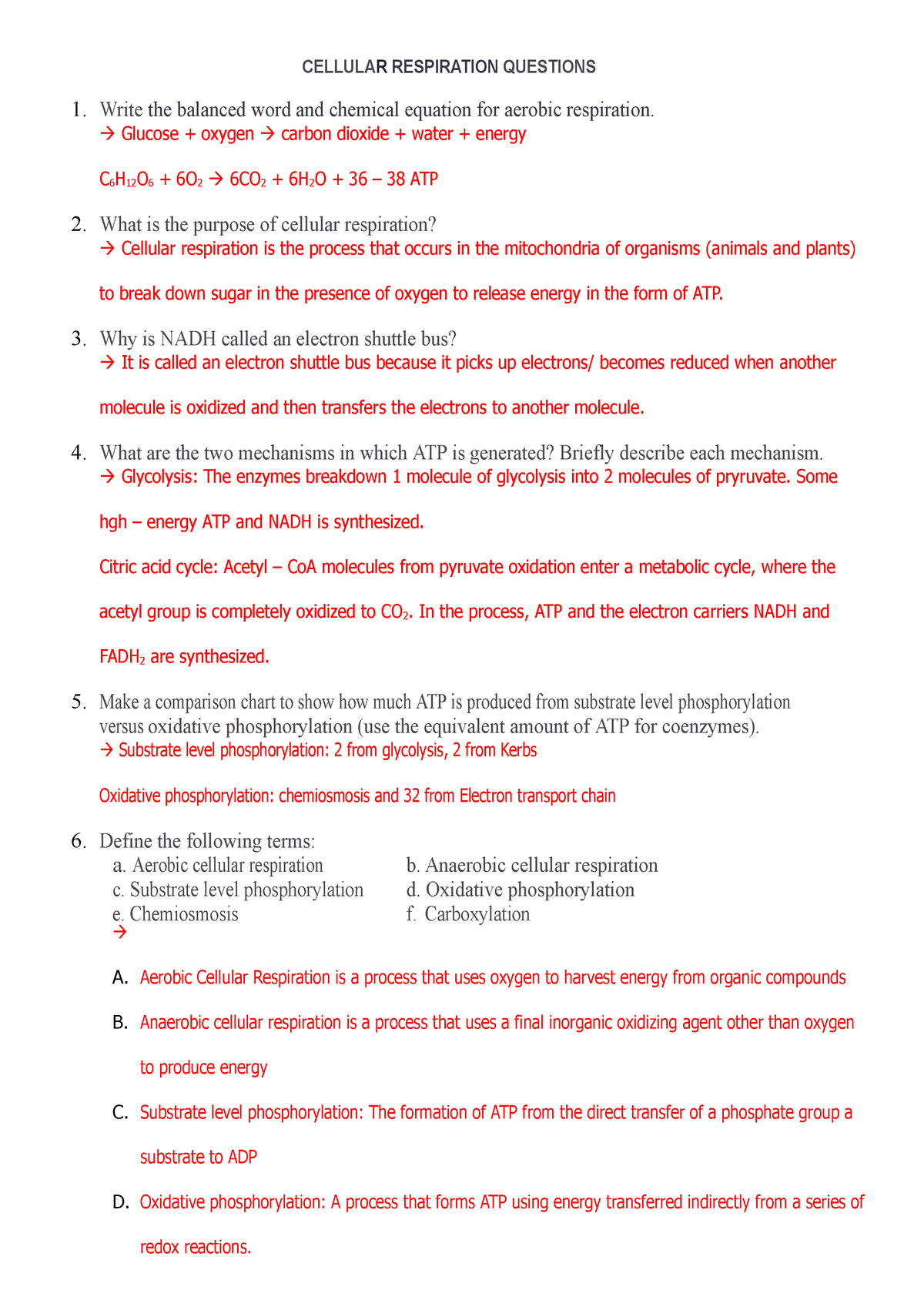 cellular respiration worksheet with answers pdf