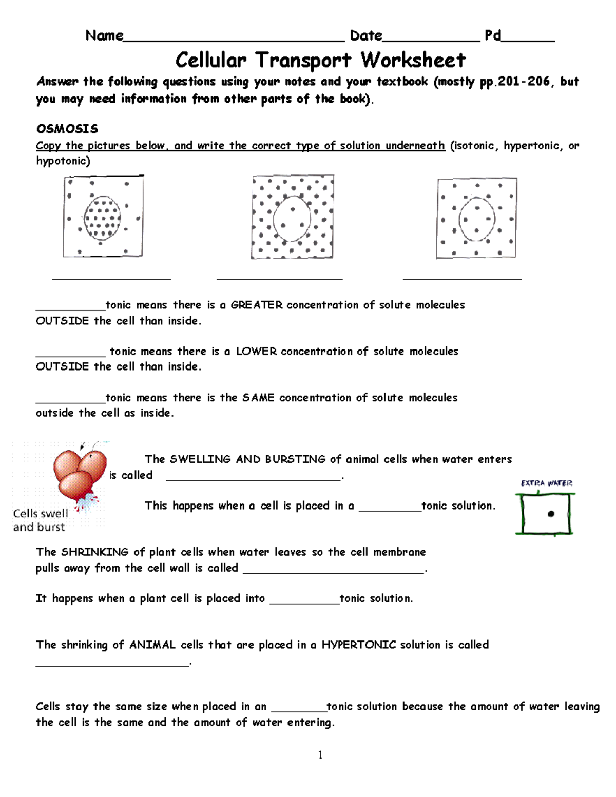 Cellular Transport Worksheet Osmosis And Solution Types Guide Studocu