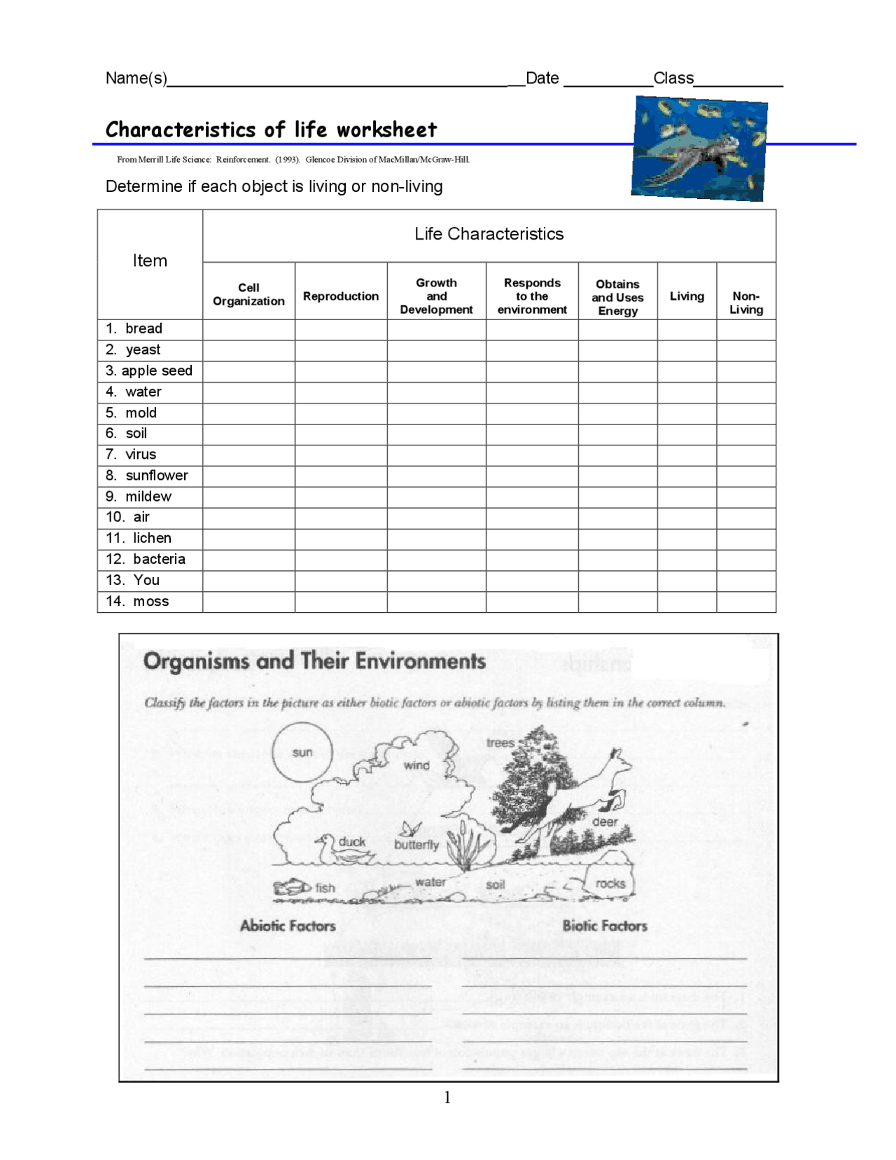 Characteristics Of Life Worksheet Lecture Notes Life Sciences Docsity Characteristics Of Life Worksheet Lecture Notes Life Sciences Docsity