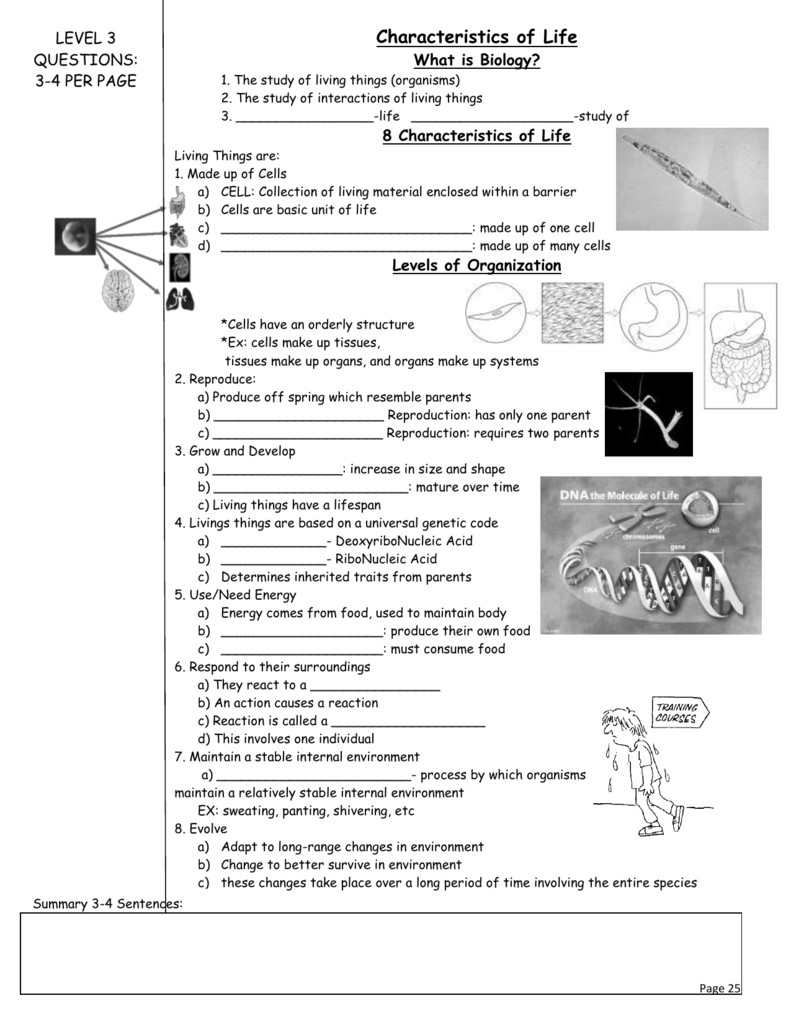 Characteristics Of Life Characteristics Of Life