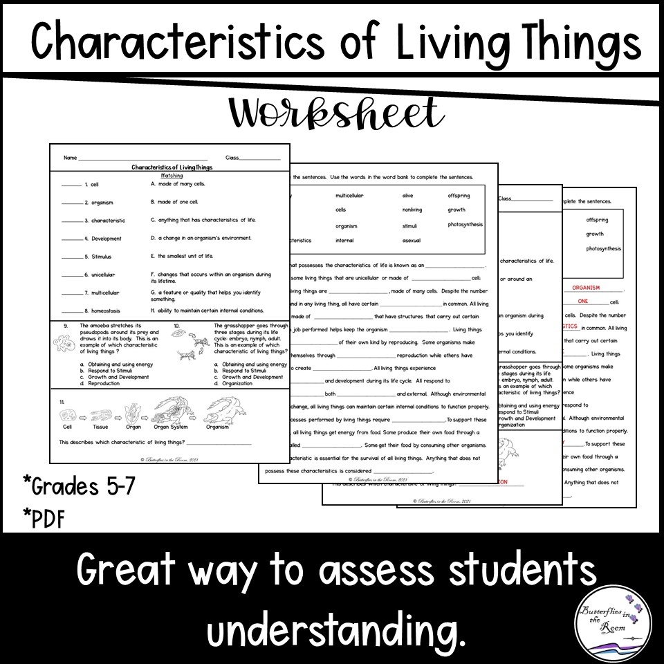 Characteristics Of Living Things Worksheet Classful