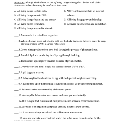 Characteristics Of Living Things Worksheet Grade 7 Fill Out Sign Online DocHub