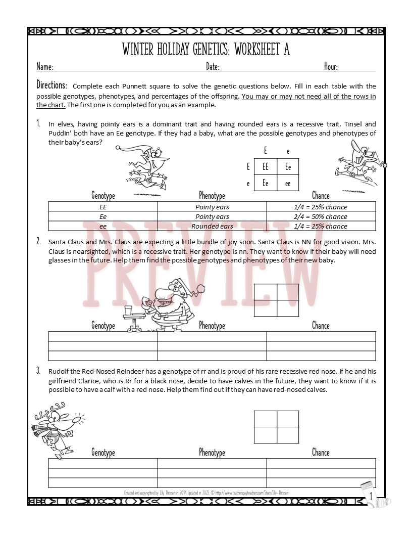 Christmas Winter Genetics Worksheet Differentiated Punnett Square Practice Classful