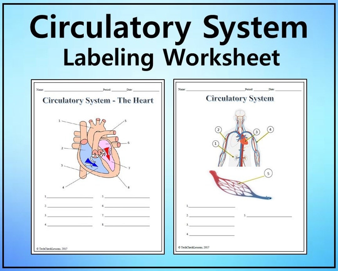 Circulatory System Labeling Worksheet Science Editable DIGITAL DOWNLOAD Etsy Circulatory System Labeling Worksheet Science Editable DIGITAL DOWNLOAD Etsy
