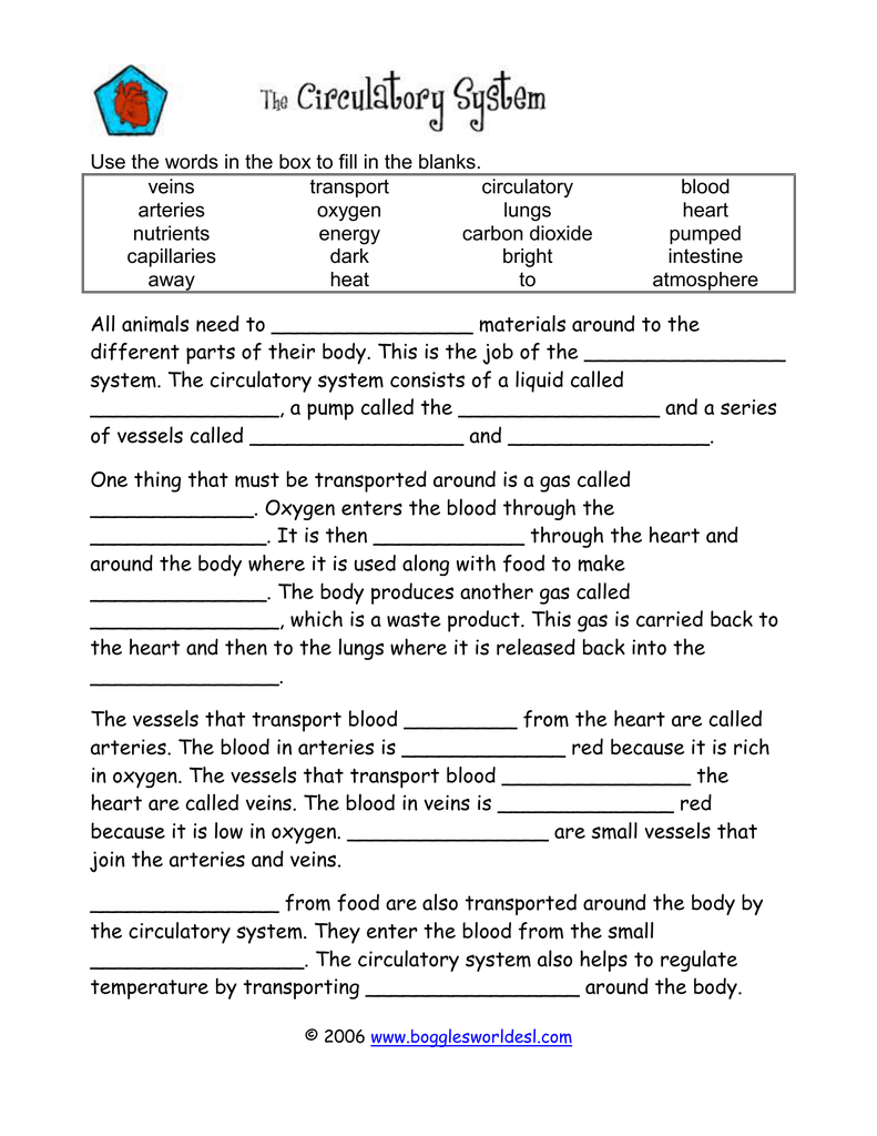 circulatory system worksheet pdf circulatory system worksheet pdf