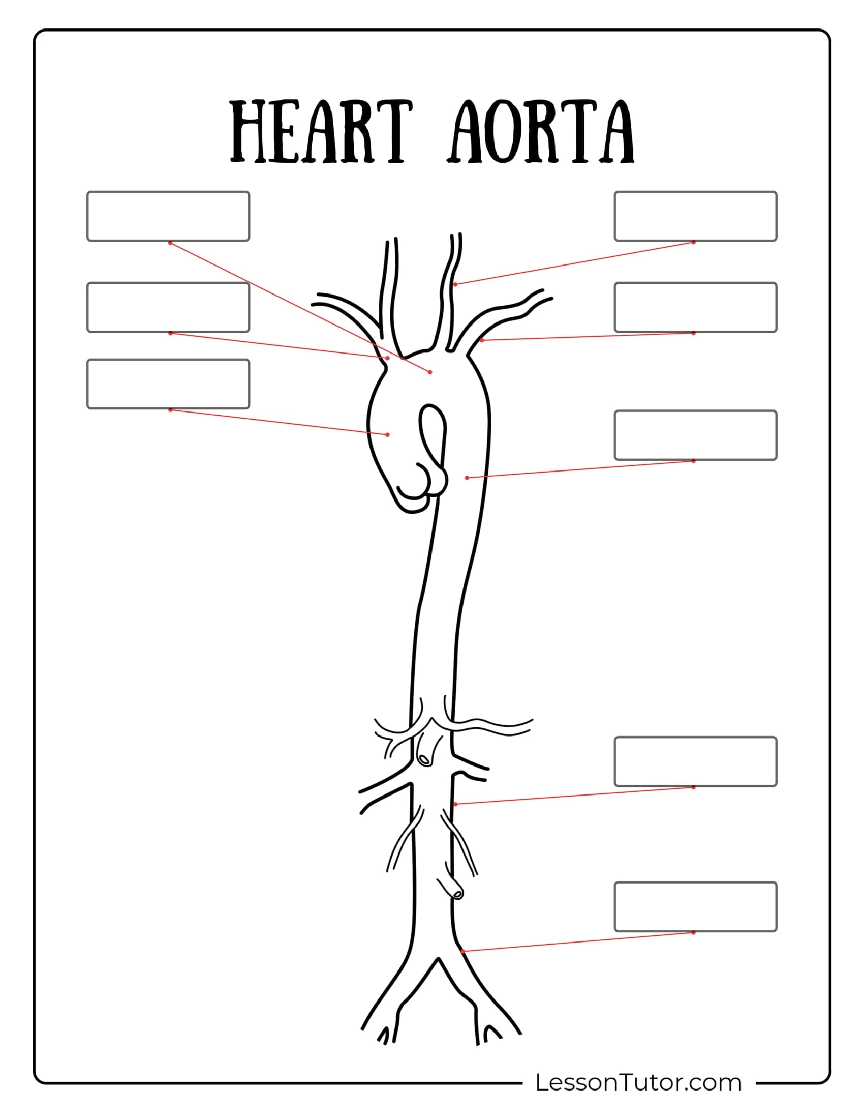 Circulatory System Worksheets Free Coloring Pages PDF Printables And Worksheets Lesson Tutor