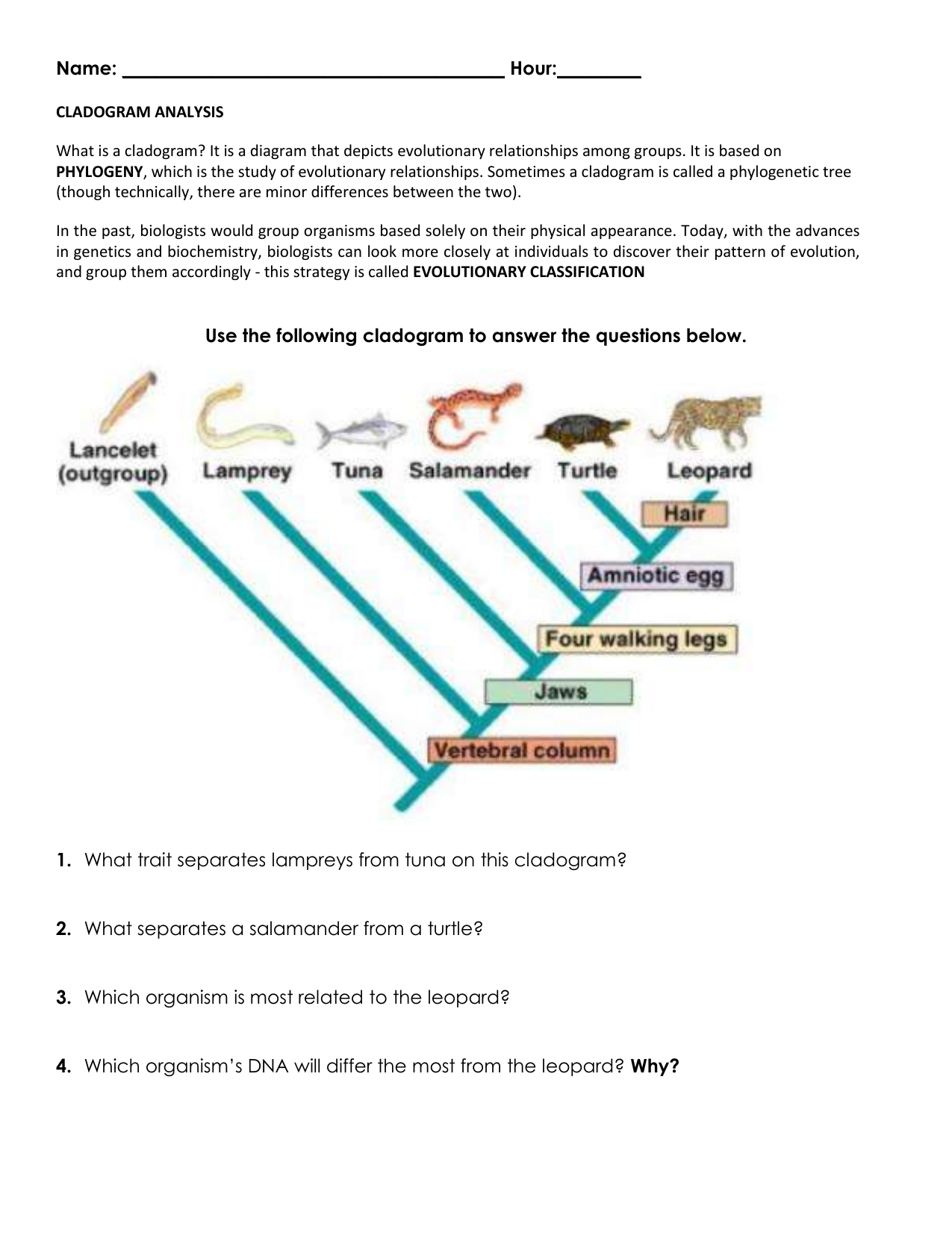 Cladogram Analysis Worksheet