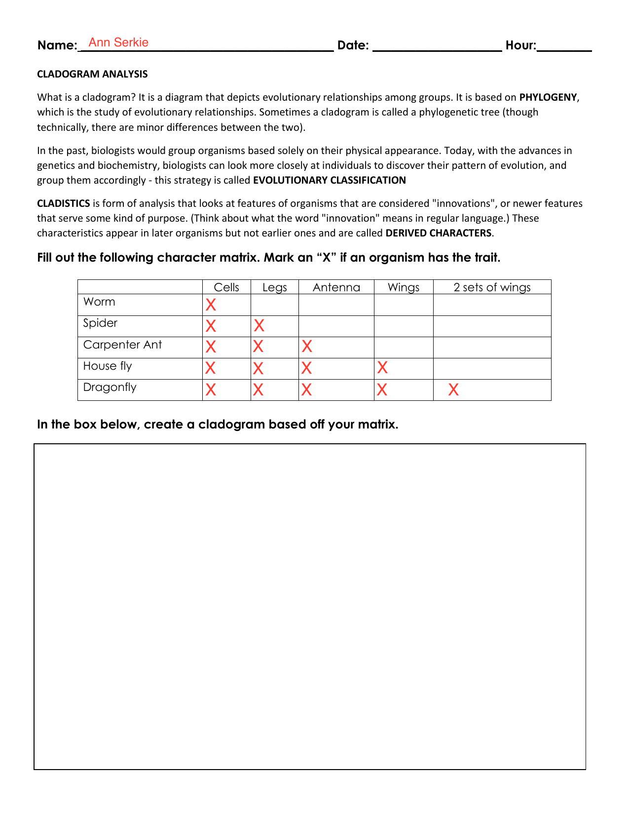 Cladogram Analysis Worksheet