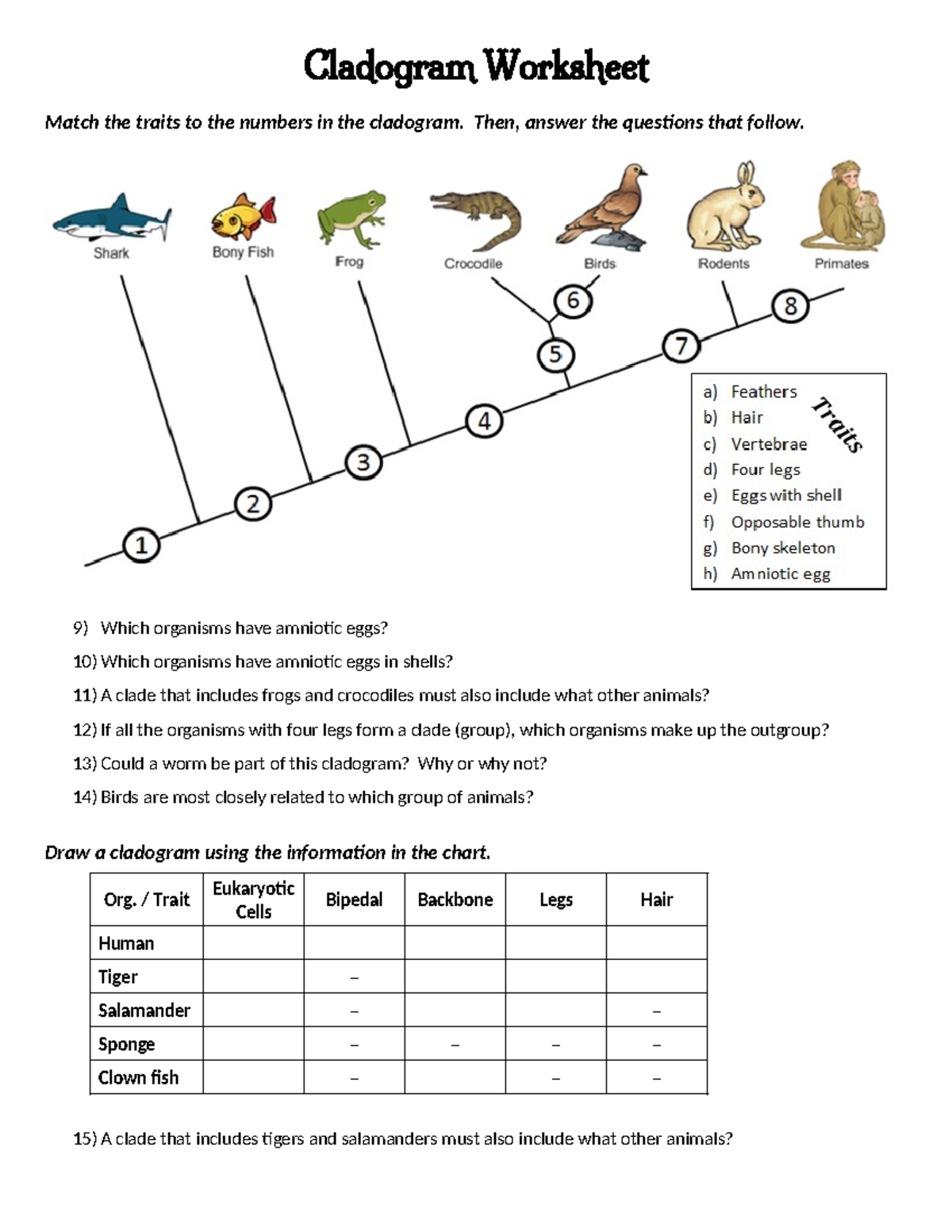 cladogram analysis worksheet answers