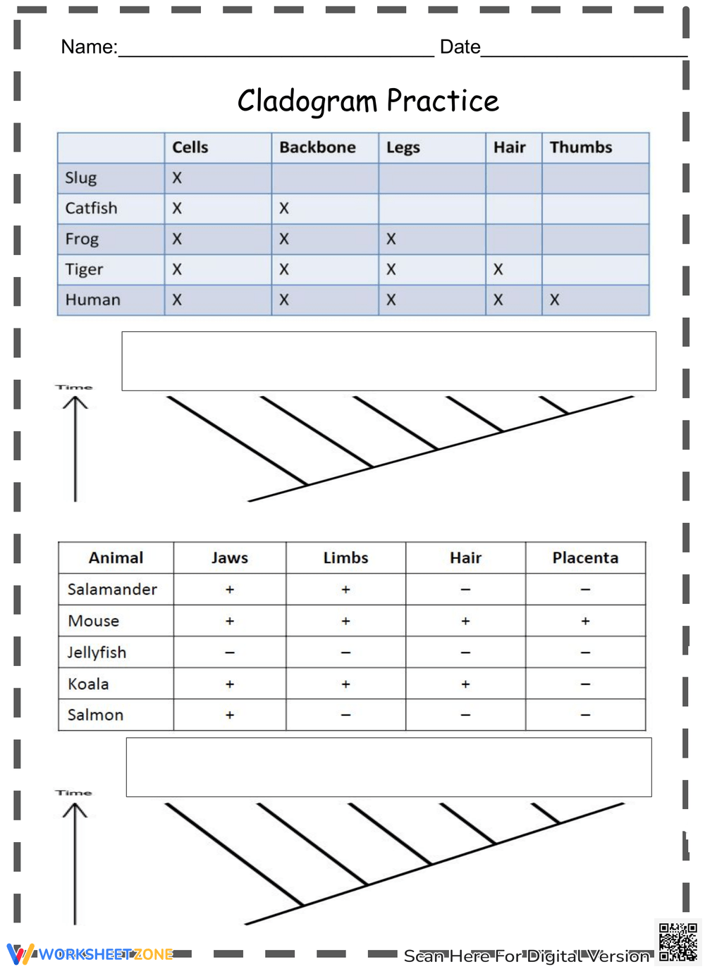 Cladogram Worksheets
