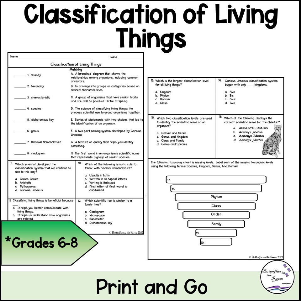 characteristics of living things worksheet pdf