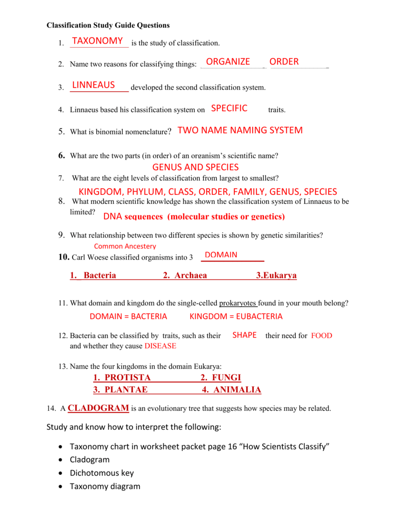 biological classification worksheet answer key