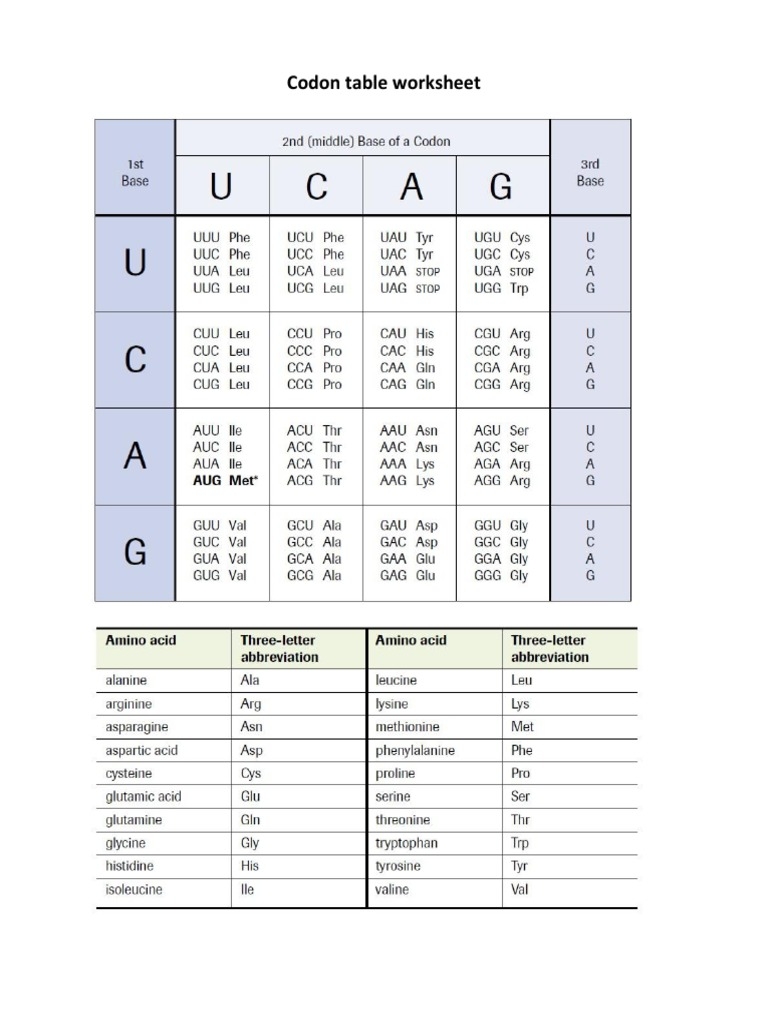 Codon Table Worksheet PDF Worksheets Library