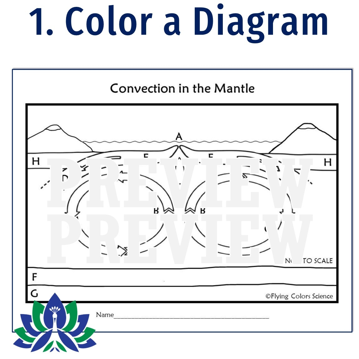 Convection In The Mantle Worksheet Flying Colors Science Convection In The Mantle Worksheet Flying Colors Science