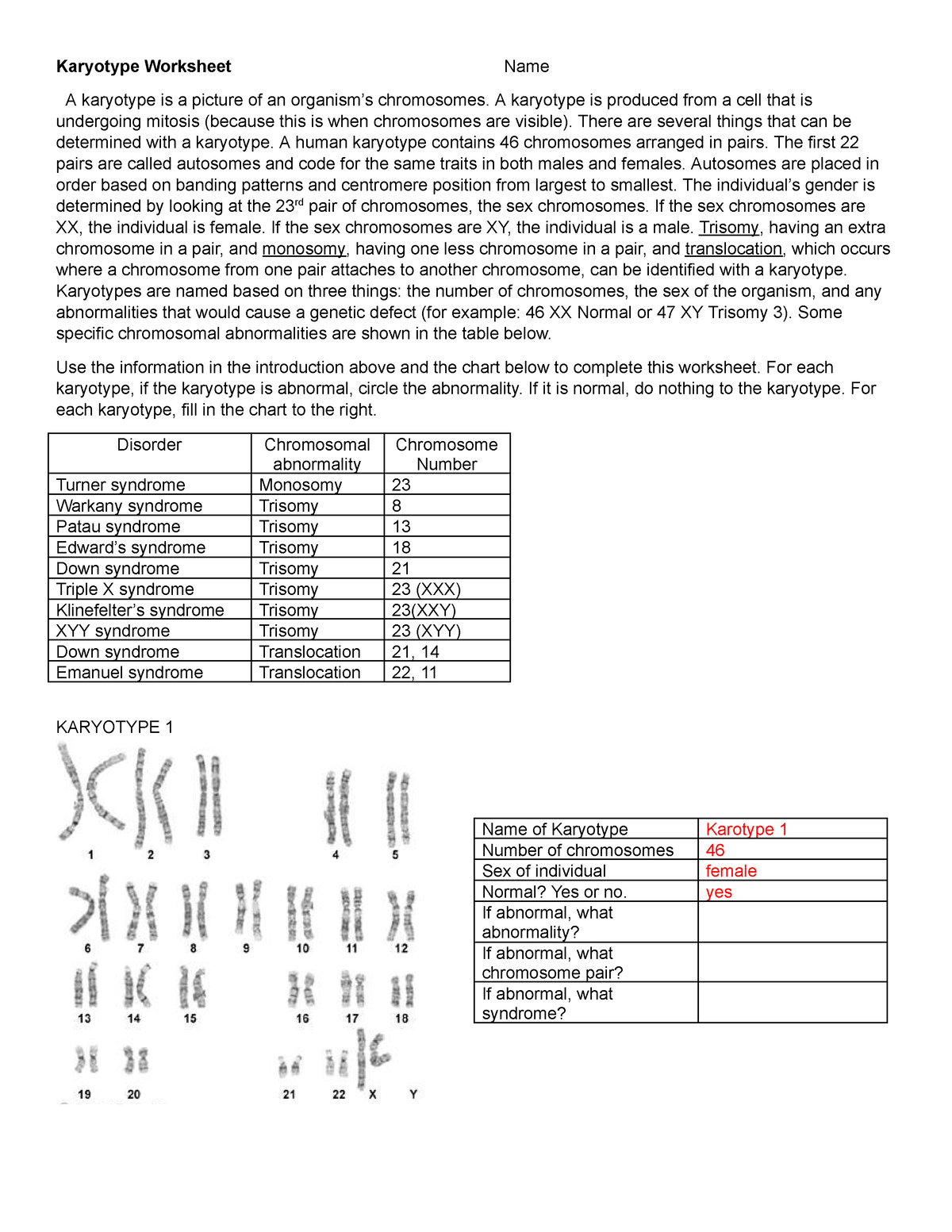 Copy Of Karotype Worksheet docx Google Docs Karyotype Worksheets Library