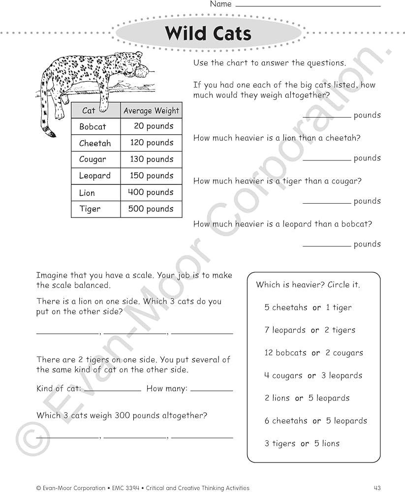 Critical Creative Thinking Activities Grade 4 Lynette Rachel Evans Marilyn Amazon in Books