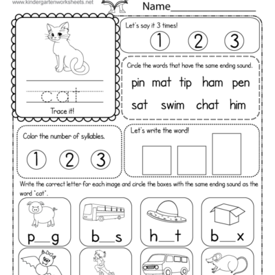 CVC Words Worksheet Free Printable Digital PDF