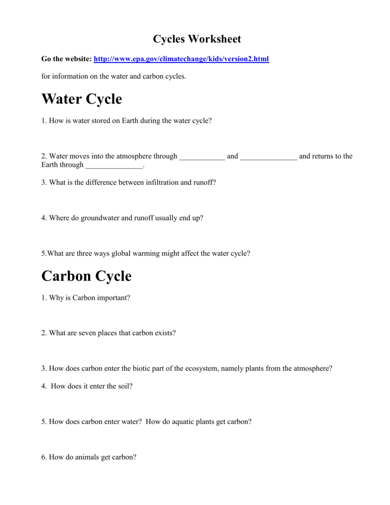 Cycles Worksheet Water Carbon Nitrogen Phosphorus