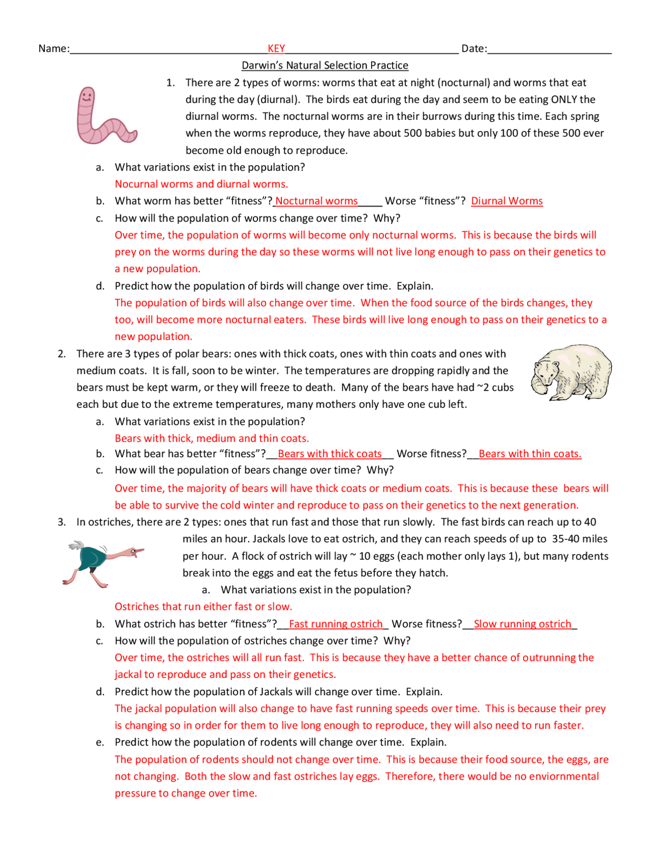 Darwin s Natural Selection Practice Exercises And Questions Exams Genetics Docsity Darwin s Natural Selection Practice Exercises And Questions Exams Genetics Docsity