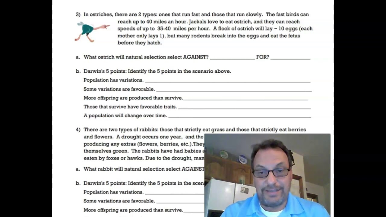 darwin natural selection worksheet answer key darwin natural selection worksheet answer key
