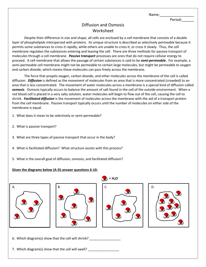 Diffusion And Osmosis Worksheet Cell Transport Diffusion And Osmosis Worksheet Cell Transport