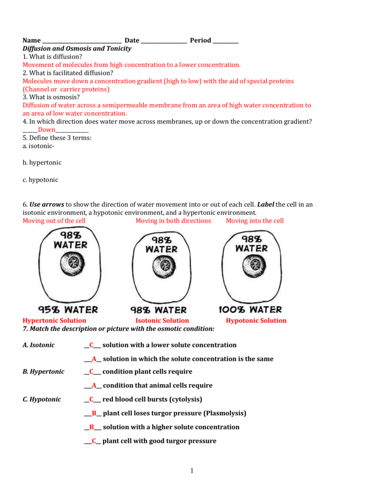 Diffusion Osmosis And Tonicity Worksheet