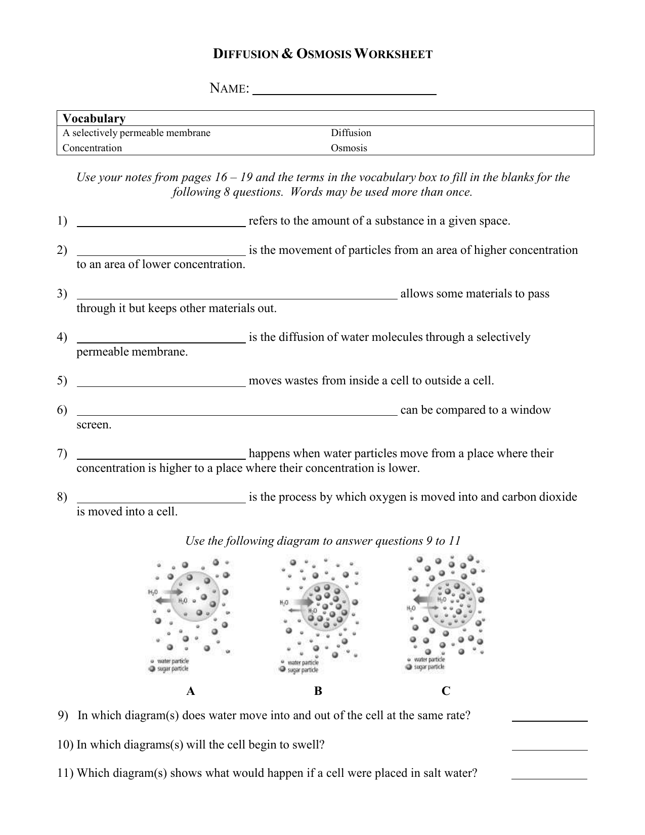 Diffusion Osmosis Worksheet