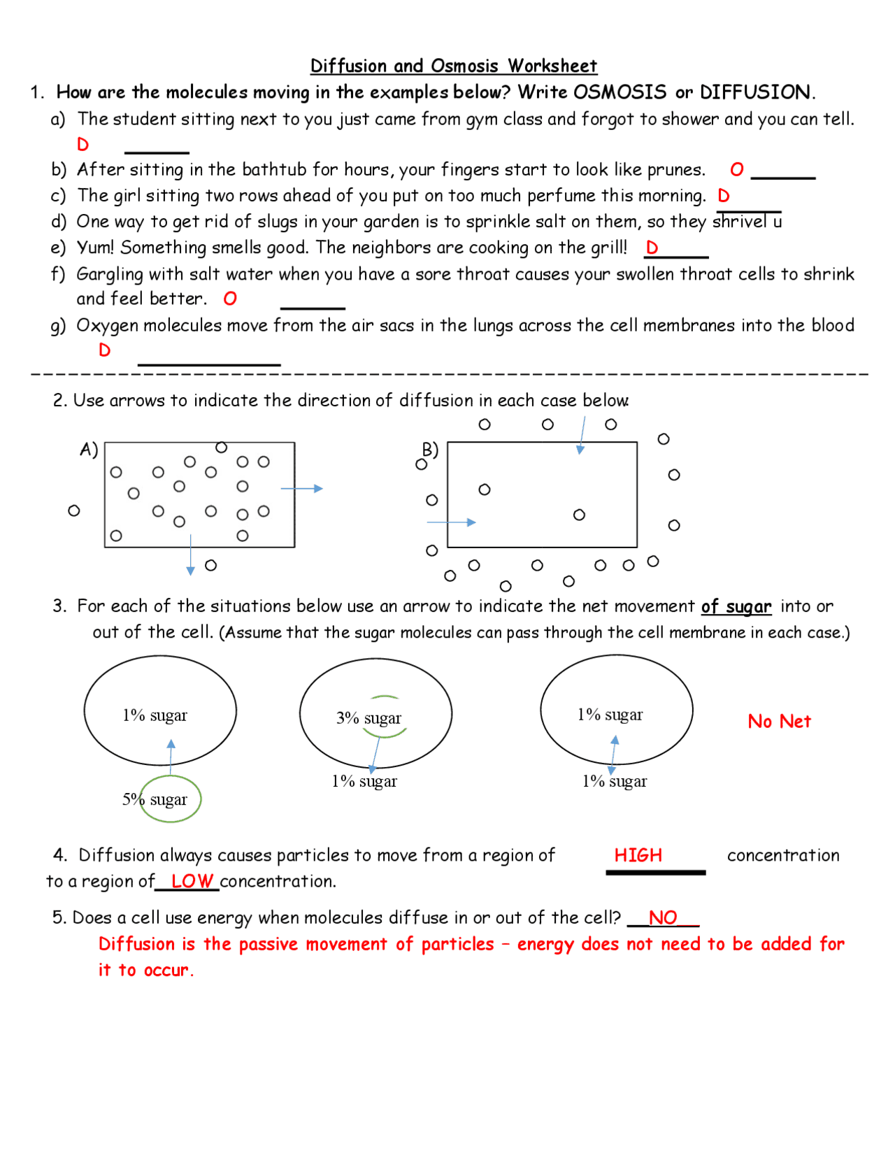 Diffusion Osmosis Worksheet ANSWERS Exams Biological Sciences Worksheets Library Diffusion Osmosis Worksheet ANSWERS Exams Biological Sciences Worksheets Library