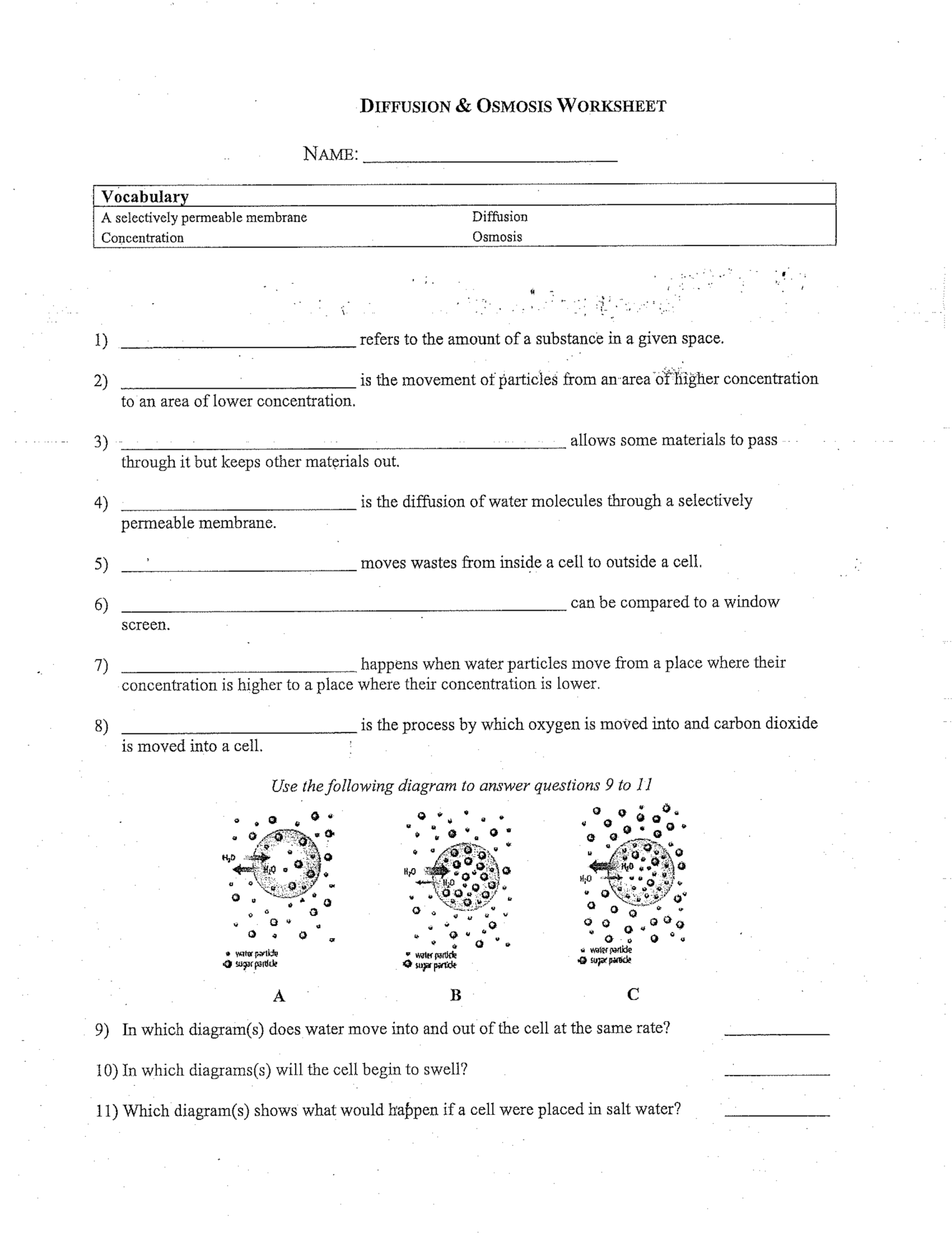 diffusion and osmosis worksheet answer sheet diffusion and osmosis worksheet answer sheet