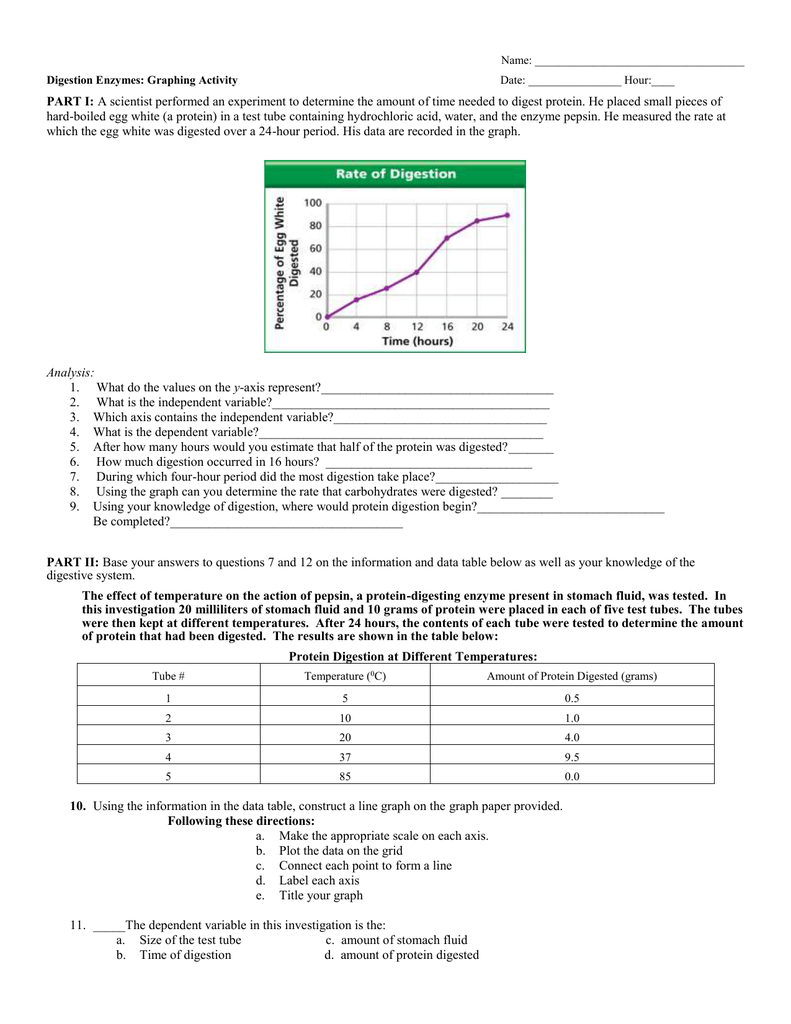Digestion Enzymes Graphing Activity Worksheet Digestion Enzymes Graphing Activity Worksheet