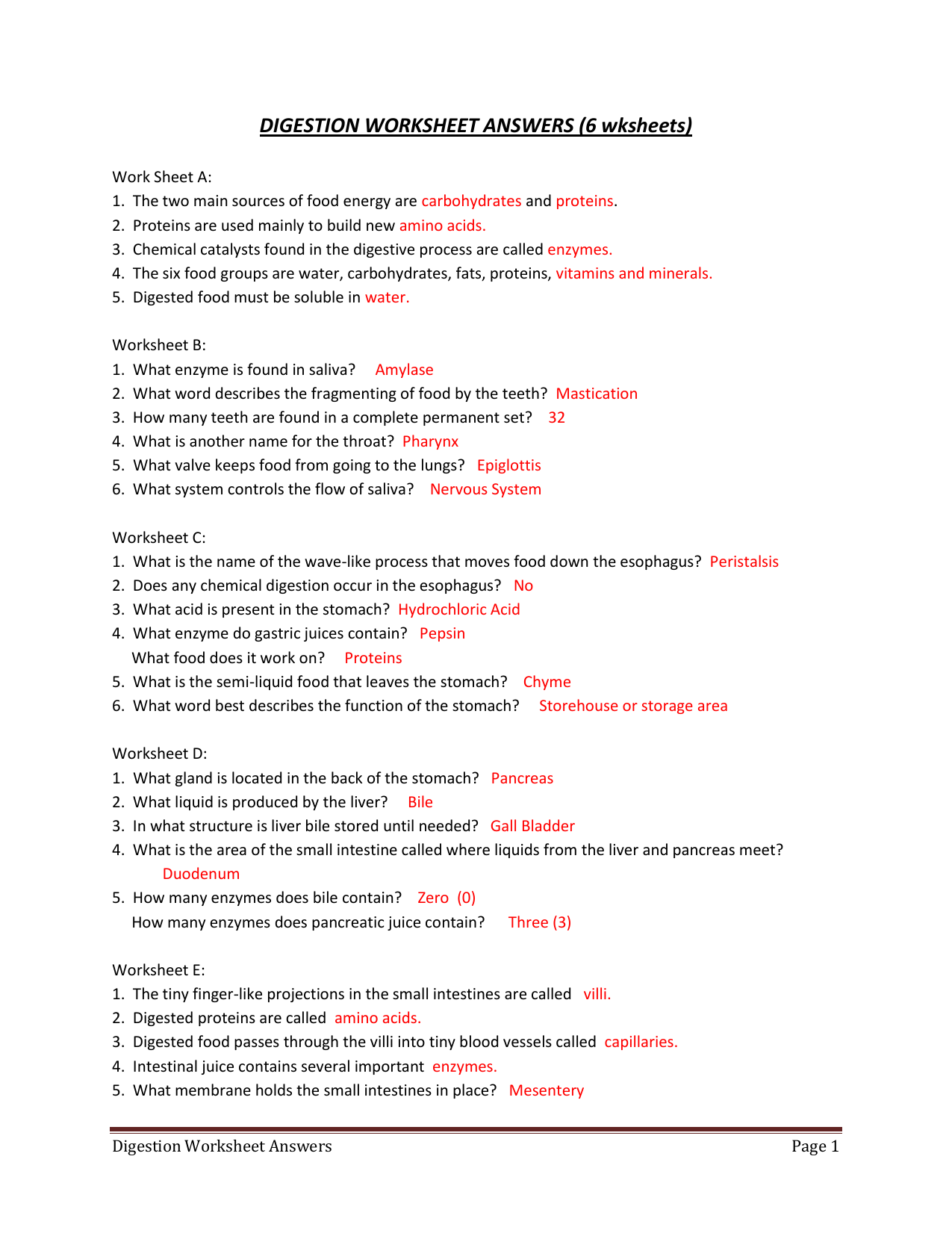 Digestion Worksheet Answers Key Digestion Worksheet Answers Key