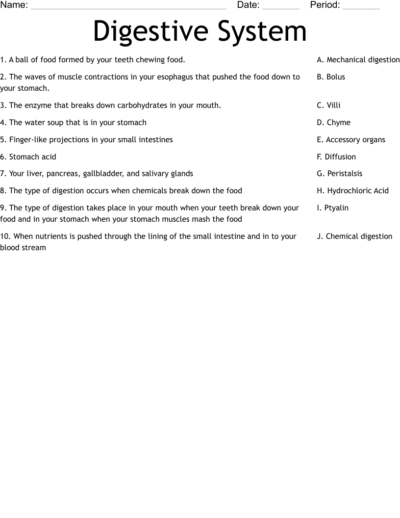 Digestive System Worksheet WordMint Digestive System Worksheet WordMint