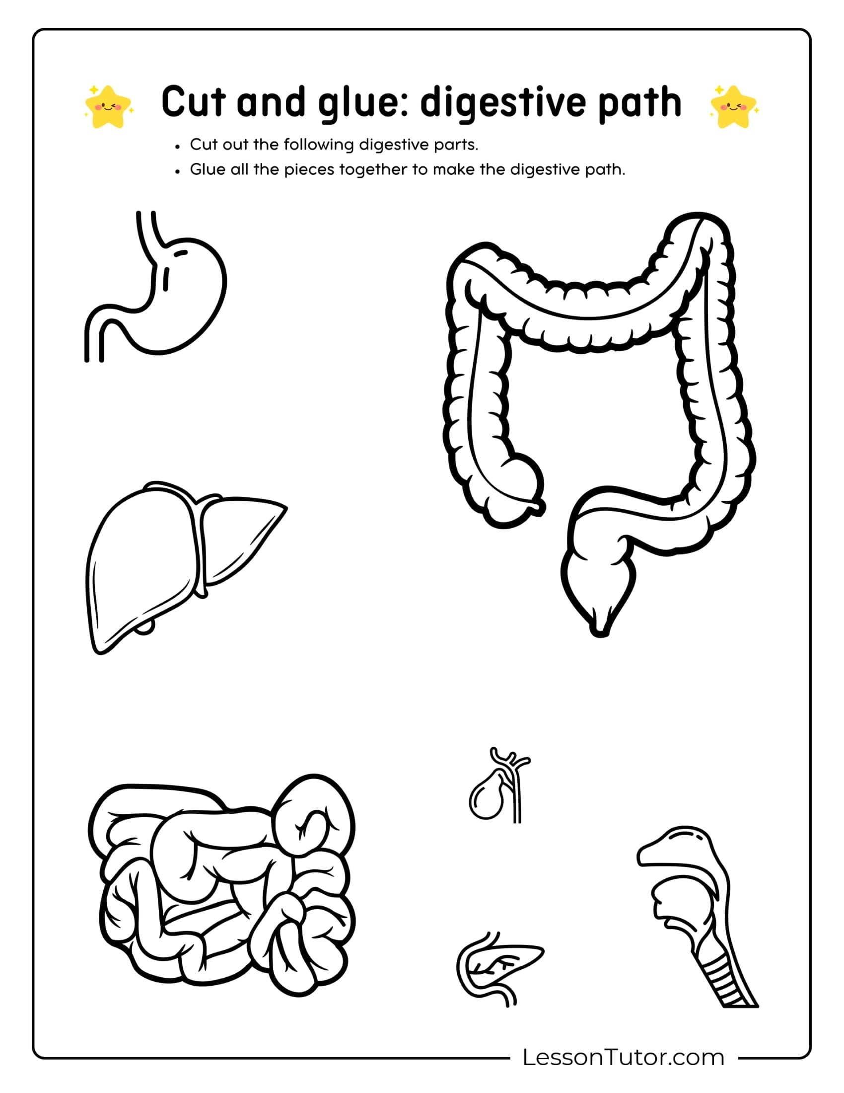 Digestive System Worksheets Lesson Tutor Digestive System Worksheets Lesson Tutor