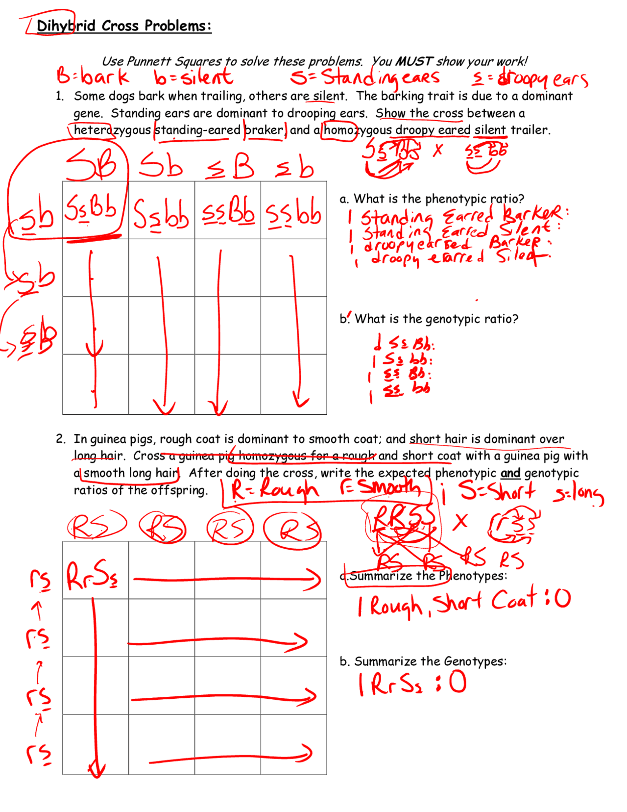 Dihybrid Cross Problems Lecture Notes Genetics Docsity Worksheets Library