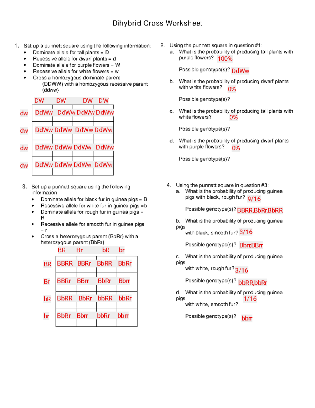 Dihybrid Cross Worksheet Genetics Lab Exercises Studocu